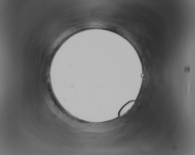 X0000115740011200912241657