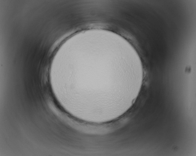 X0000115740012200912241657