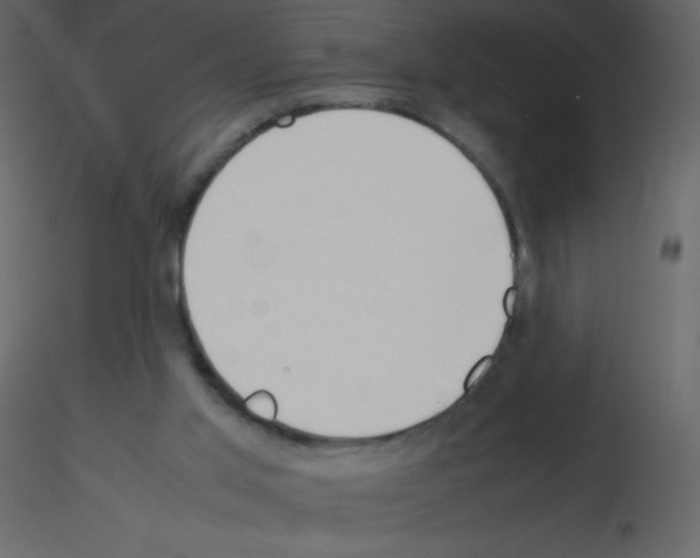 X0000115740013200912241657