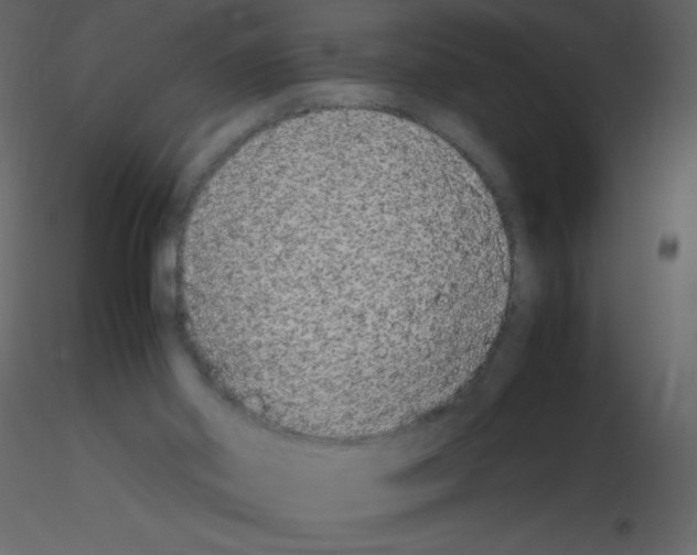 X0000115740014200912241657
