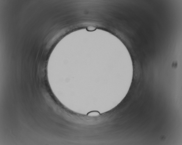 X0000115740015200912241657