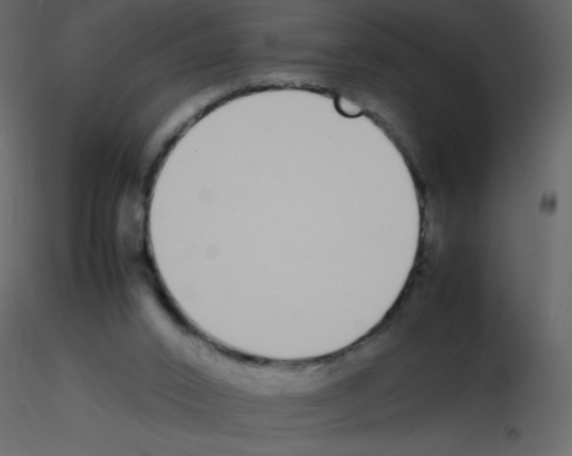 X0000115740016200912241656