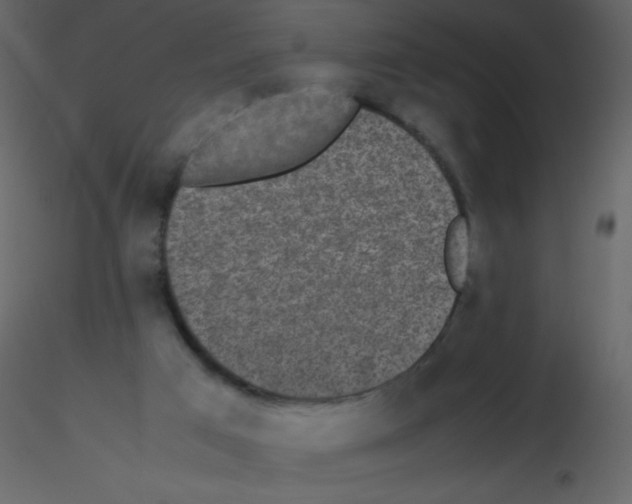 X0000115740017200912241656