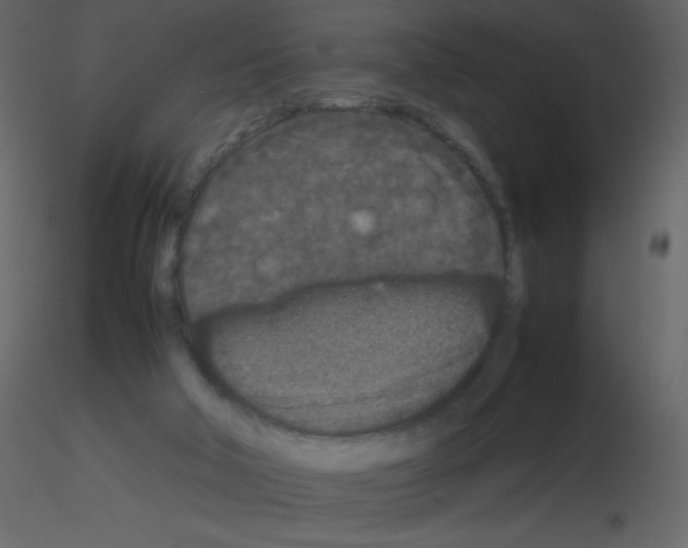 X0000115740018200912241656