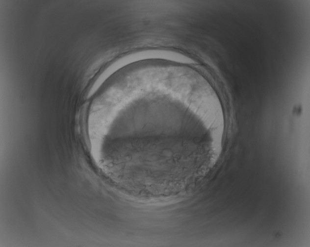 X0000115740019200912241656