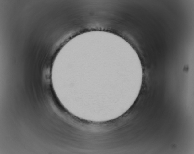 X0000115740020200912241656