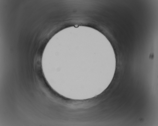 X0000115740021200912241656