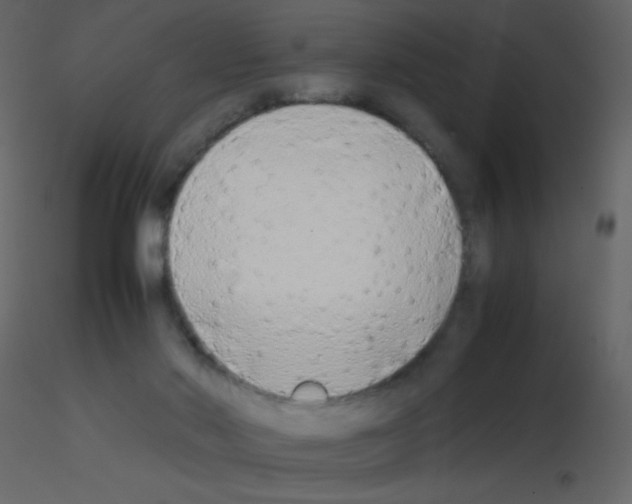 X0000115740022200912241656