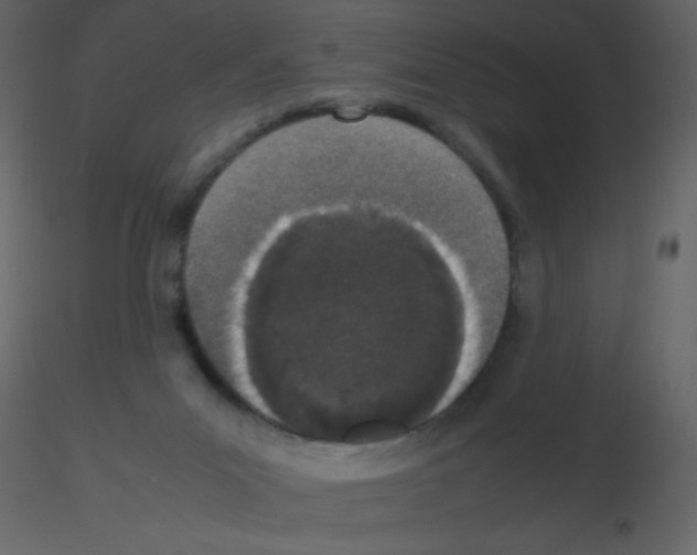 X0000115740023200912241656