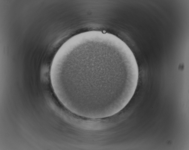X0000115740024200912241656