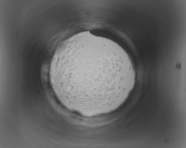 X0000115740026200912241656
