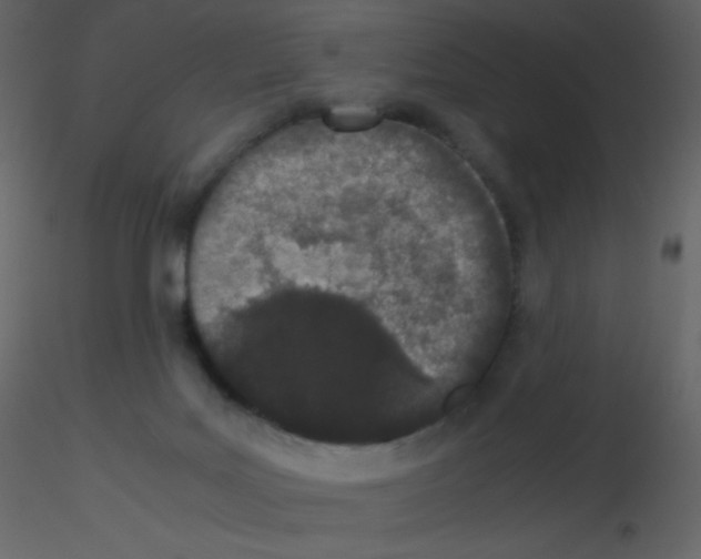 X0000115740027200912241656