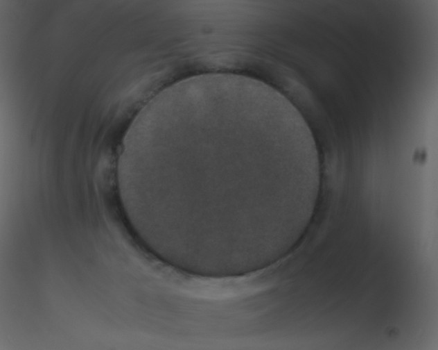 X0000115740029200912241656