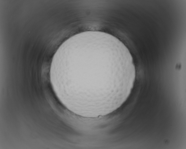 X0000115740030200912241656