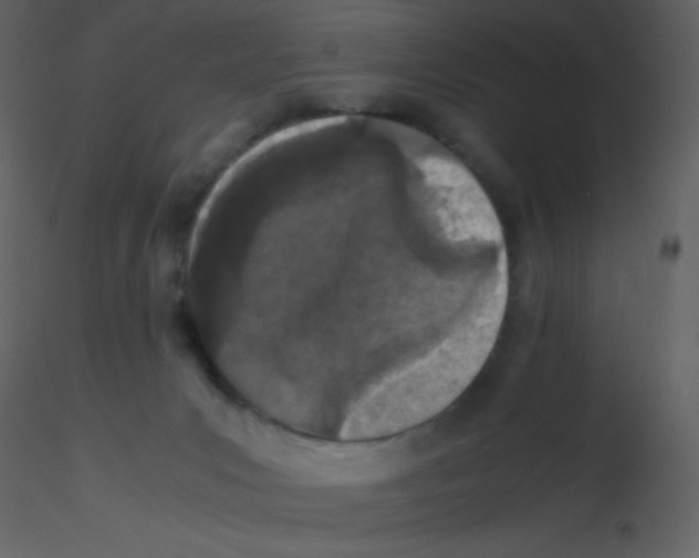 X0000115740031200912241656