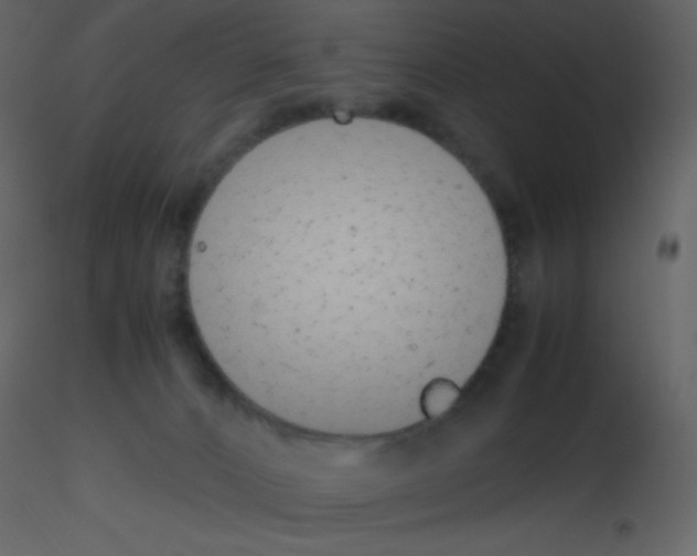 X0000115740032200912241656