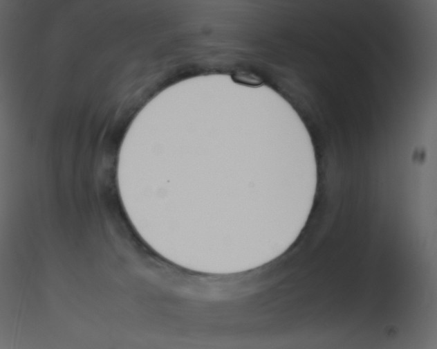 X0000115740033200912241656
