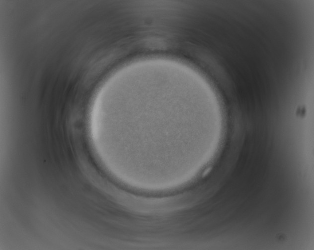 X0000115740034200912241656