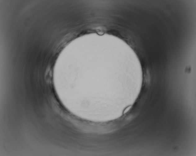 X0000115740036200912241656