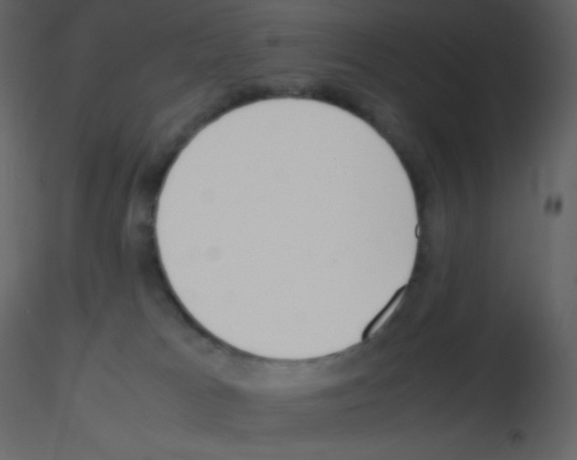 X0000115740037200912241656