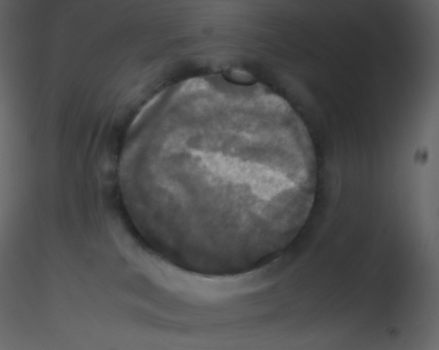 X0000115740039200912241656