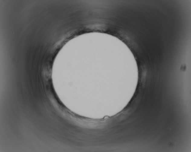 X0000115740040200912241656