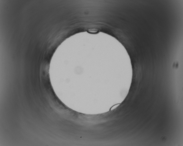 X0000115740041200912241656