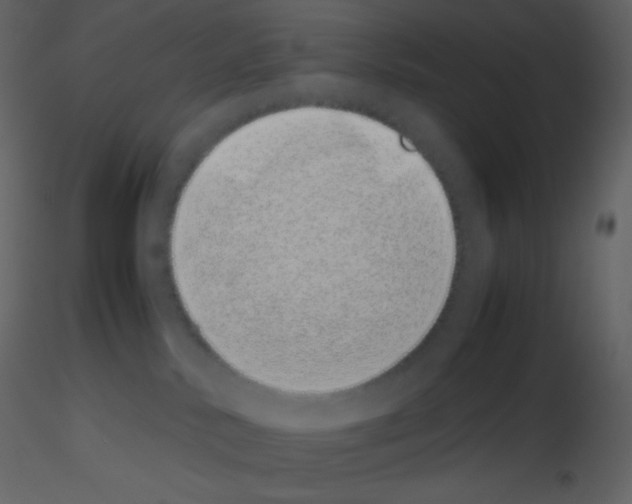 X0000115740042200912241656
