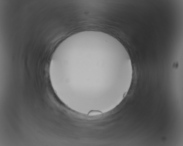 X0000115740043200912241656