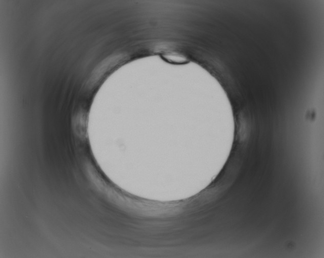 X0000115740044200912241656
