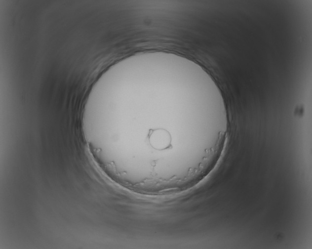 X0000115740045200912241656