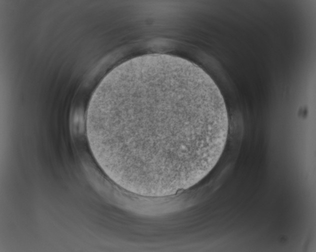 X0000115740046200912241656
