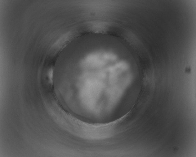 X0000115740047200912241656