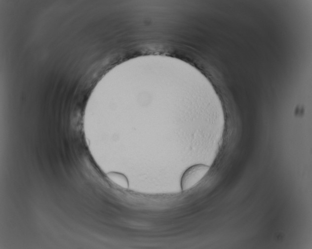 X0000115740048200912241656