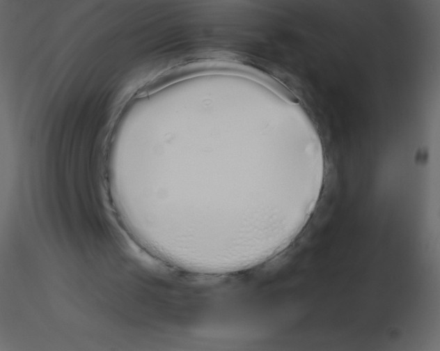 X0000115740049200912241655
