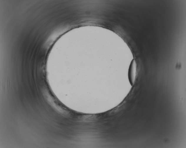 X0000115740050200912241655