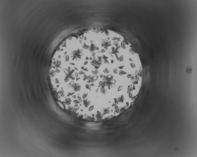 X0000115740051200912241655