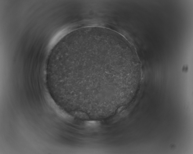 X0000115740053200912241655