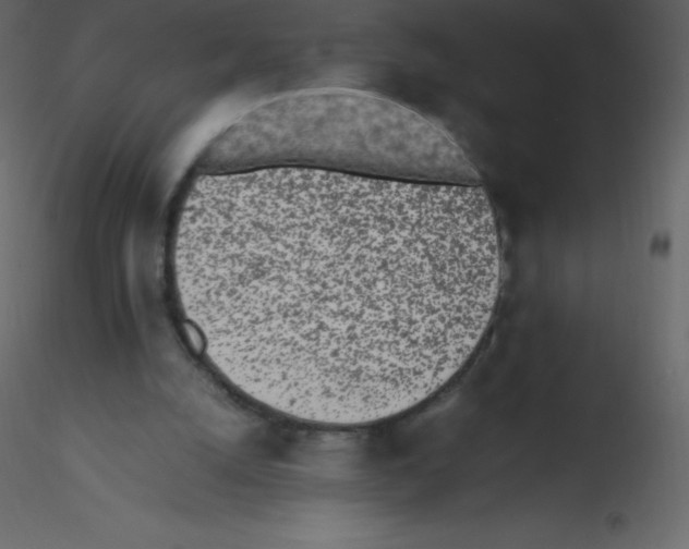 X0000115740056200912241655