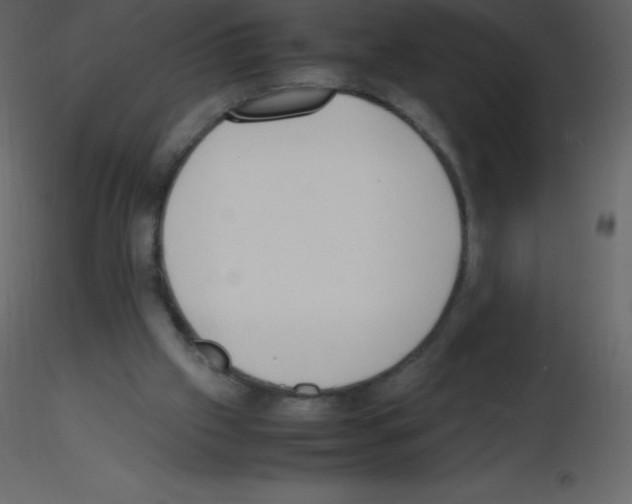 X0000115740057200912241656
