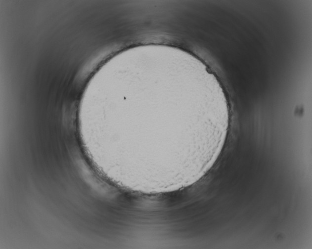 X0000115740058200912241656