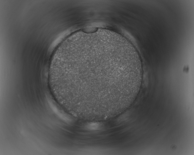 X0000115740059200912241656