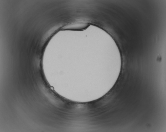 X0000115740060200912241656