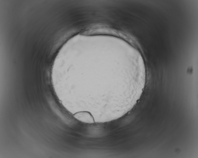 X0000115740061200912241656