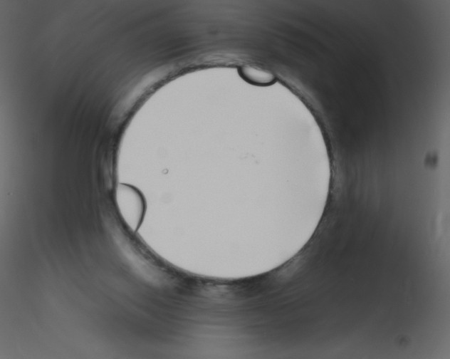 X0000115740062200912241656
