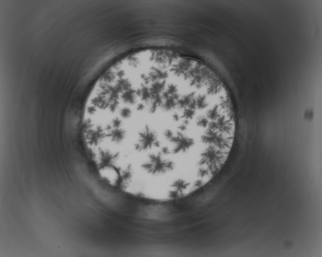 X0000115740063200912241656