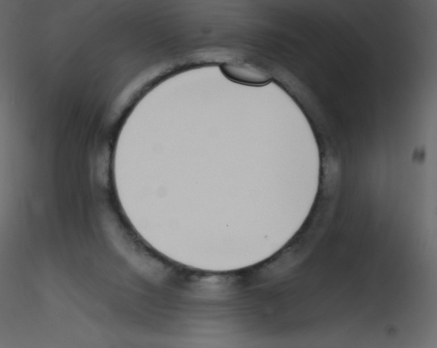 X0000115740064200912241656