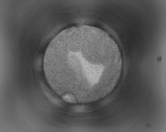 X0000115740065200912241656