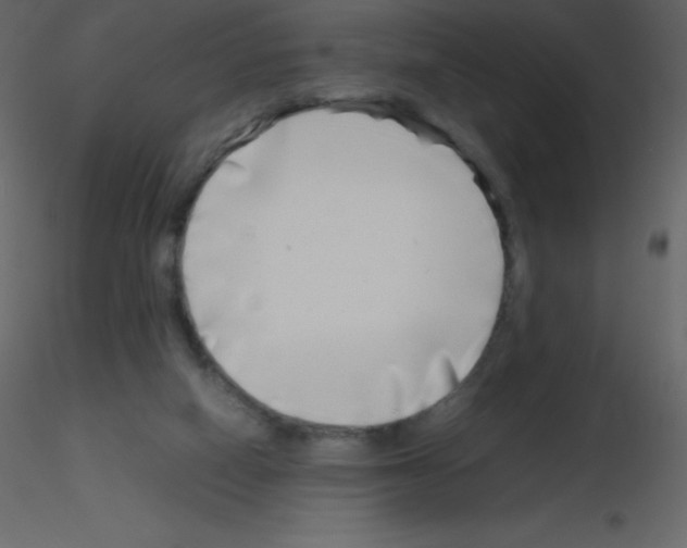 X0000115740066200912241656