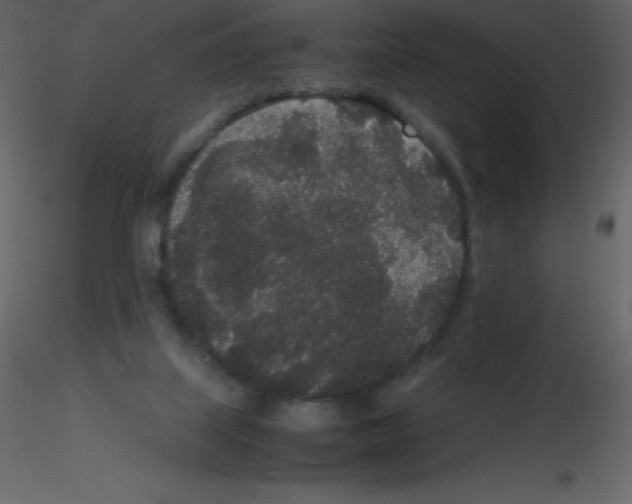 X0000115740067200912241656